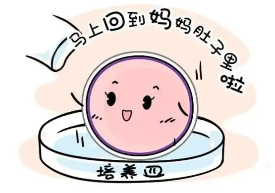 1650012623192479.png