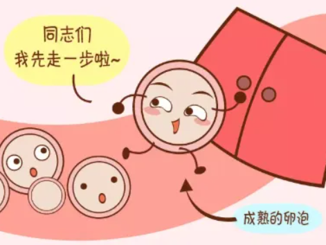 圖片1334.png