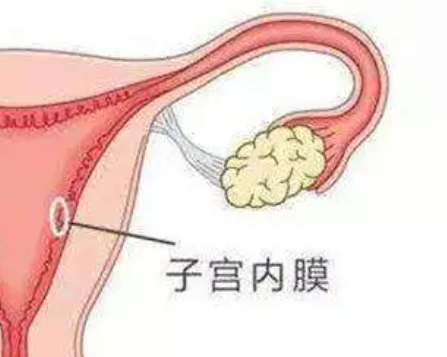 圖片1321.png